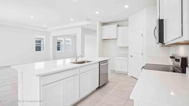 11367 Curio Drive, Brooksville, FL 34613