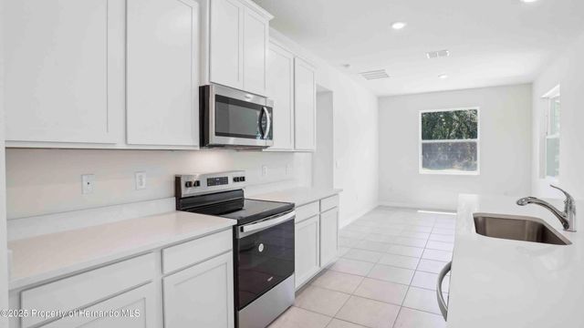 11367 Curio Drive, Brooksville, FL 34613