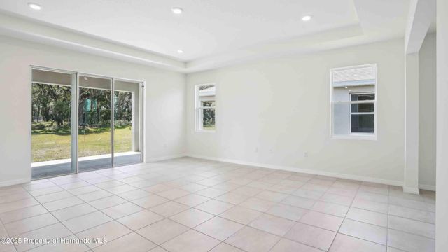 11367 Curio Drive, Brooksville, FL 34613