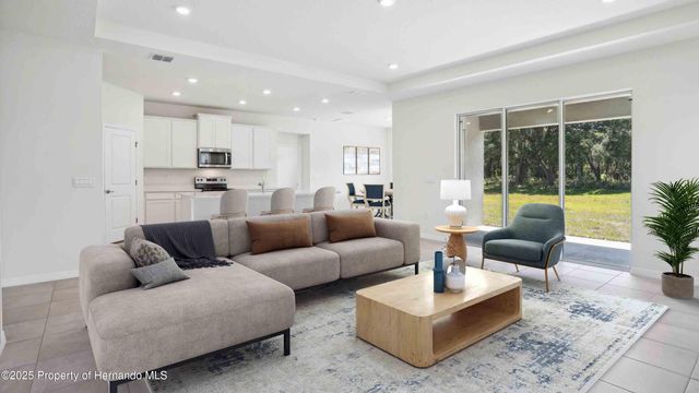 11367 Curio Drive, Brooksville, FL 34613