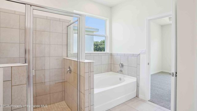 11367 Curio Drive, Brooksville, FL 34613