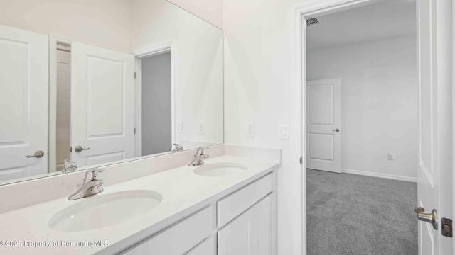 11367 Curio Drive, Brooksville, FL 34613