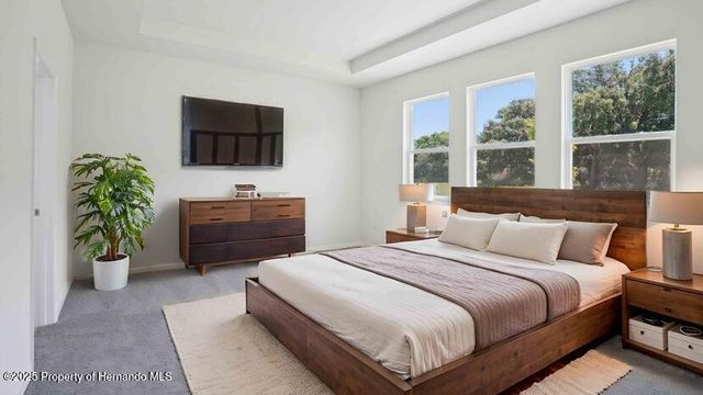 11367 Curio Drive, Brooksville, FL 34613