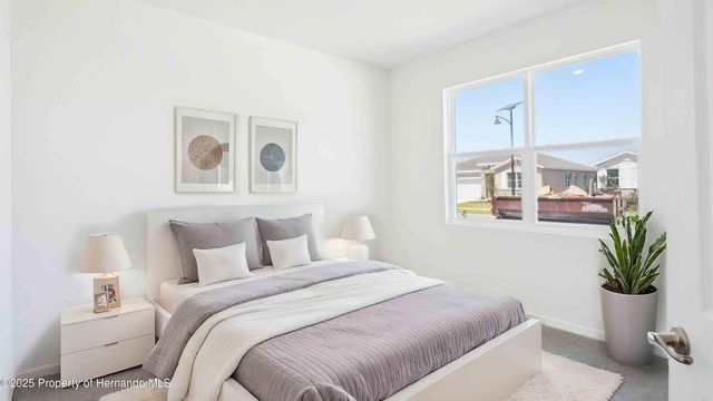 11367 Curio Drive, Brooksville, FL 34613