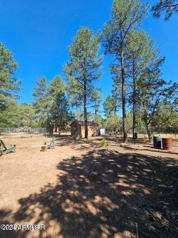 140 W NIKOLAUS --, Show Low, AZ 85901