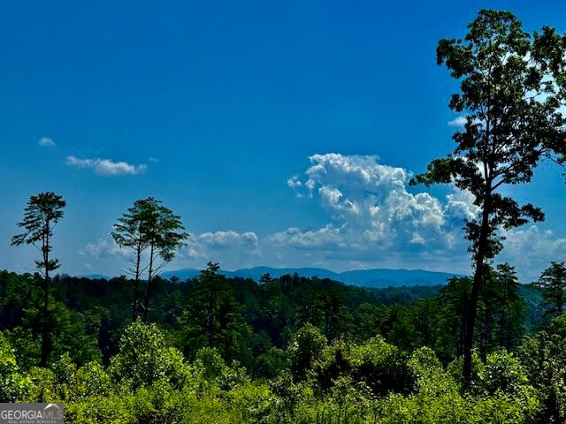 39 Mountaintown Overlook, Ellijay, GA 30540