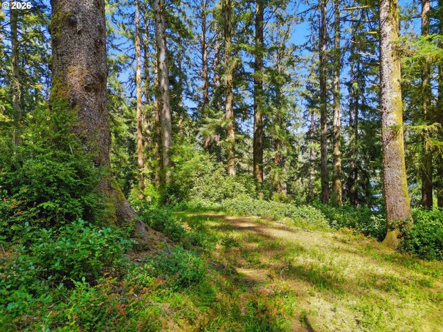 83553 JENSEN Ln, Florence, OR 97439