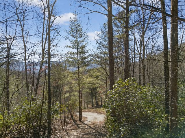 793 Jackie Cove Road, Hayesville, NC 28904