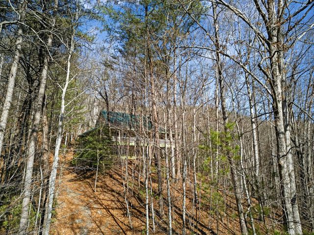 793 Jackie Cove Road, Hayesville, NC 28904