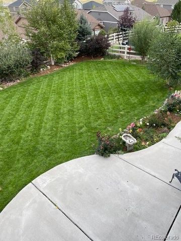 5900 Echo Hollow Street, Castle Rock, CO 80104