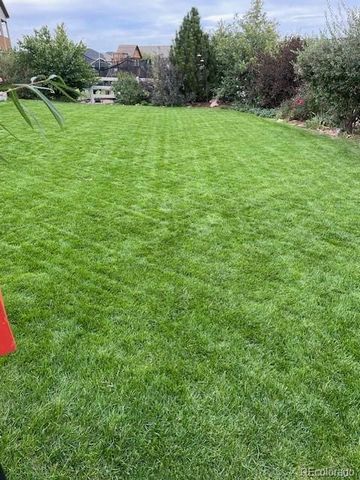 5900 Echo Hollow Street, Castle Rock, CO 80104