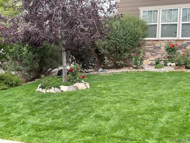 5900 Echo Hollow Street, Castle Rock, CO 80104