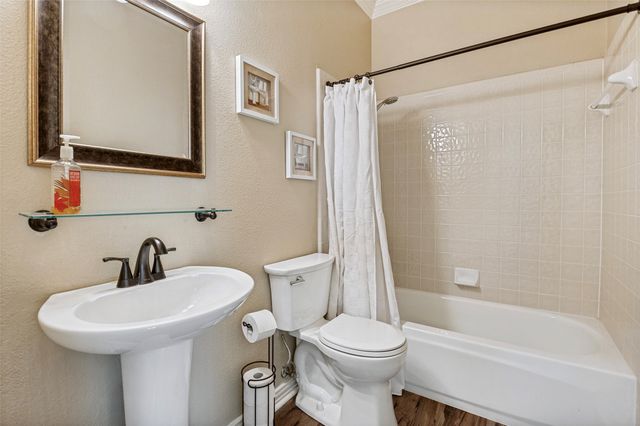 312 Crooked Tree Court, Coppell, TX 75019