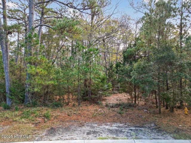 6073 Martinique Street SW, South Brunswick, NC 28470