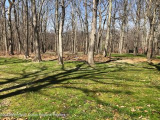 4 Kimberly Court, Millstone, NJ 08510