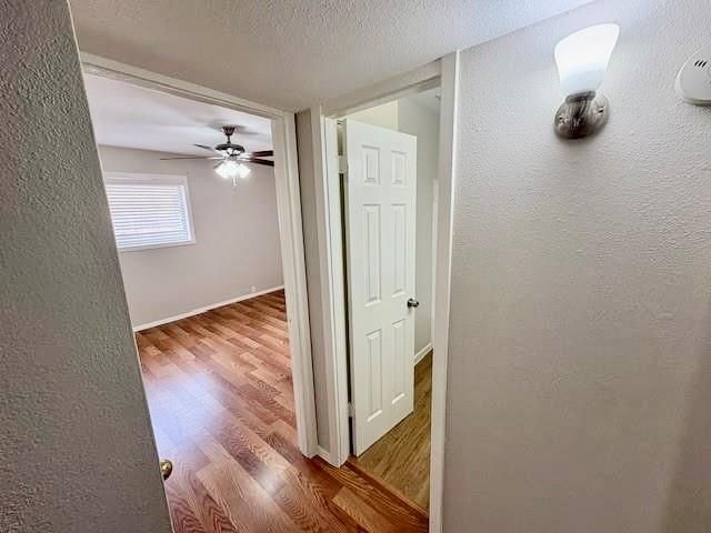 2101 Fountain View Drive 14, Houston, TX 77057