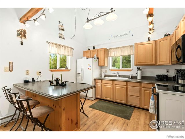 67 Timicua Court, Red Feather Lakes, CO 80545