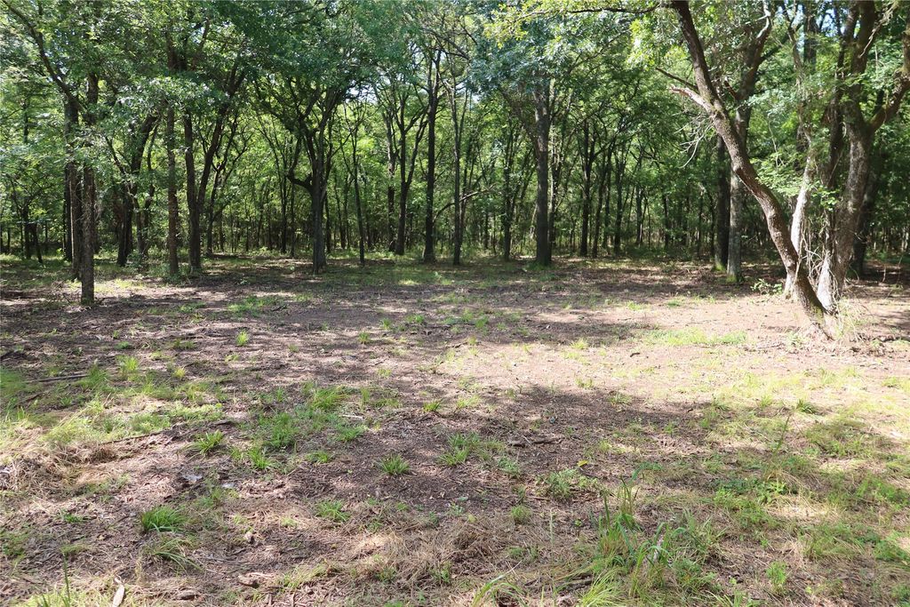 381 Ranchview Court, Bowie, TX 76230