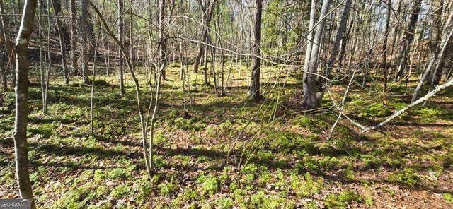LOT 12 Oak Loop 12, Mineral Bluff, GA 30559