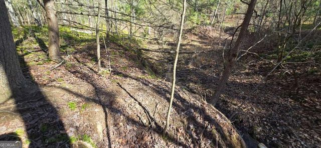 LOT 12 Oak Loop 12, Mineral Bluff, GA 30559