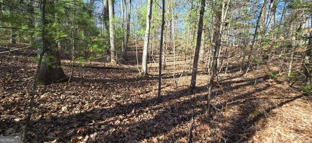 LOT 12 Oak Loop 12, Mineral Bluff, GA 30559