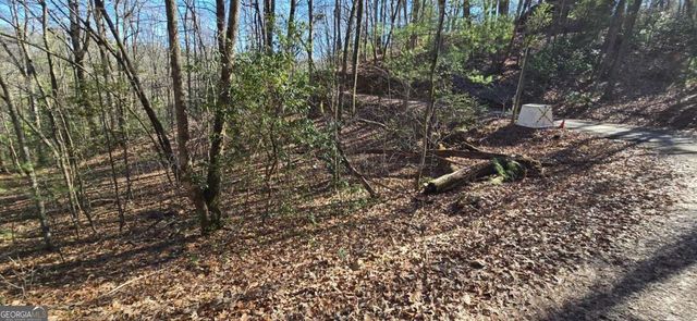 LOT 12 Oak Loop 12, Mineral Bluff, GA 30559