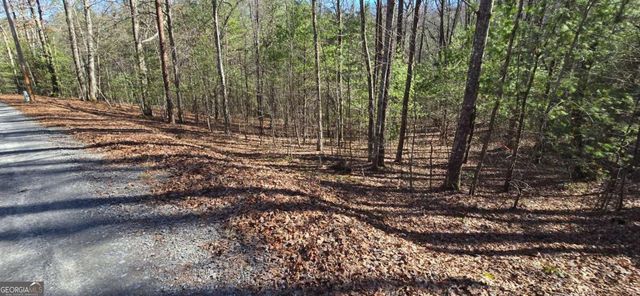 LOT 12 Oak Loop 12, Mineral Bluff, GA 30559