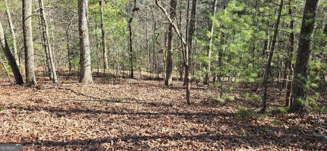 LOT 12 Oak Loop 12, Mineral Bluff, GA 30559