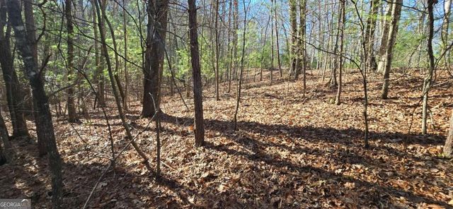 LOT 12 Oak Loop 12, Mineral Bluff, GA 30559