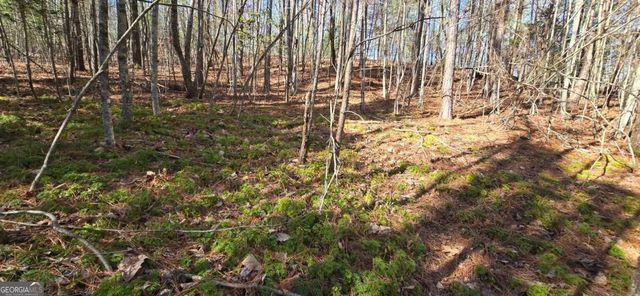 LOT 12 Oak Loop 12, Mineral Bluff, GA 30559