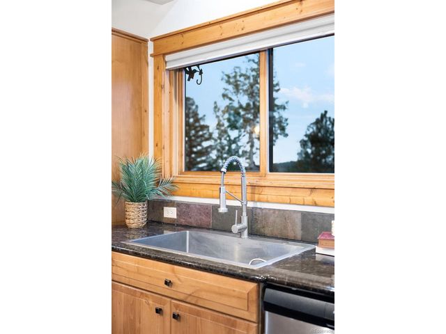 229 Mohawk Trl, Pine, CO 80470