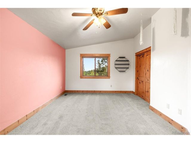 229 Mohawk Trl, Pine, CO 80470