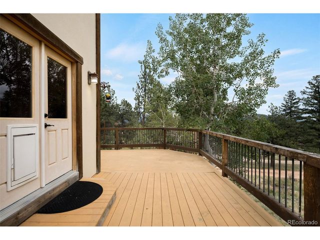 229 Mohawk Trl, Pine, CO 80470