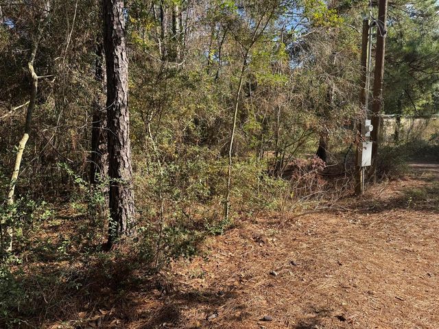 8249 Soapberry Lane, Plantersville, TX 77363