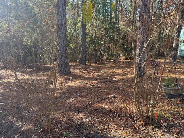 8249 Soapberry Lane, Plantersville, TX 77363