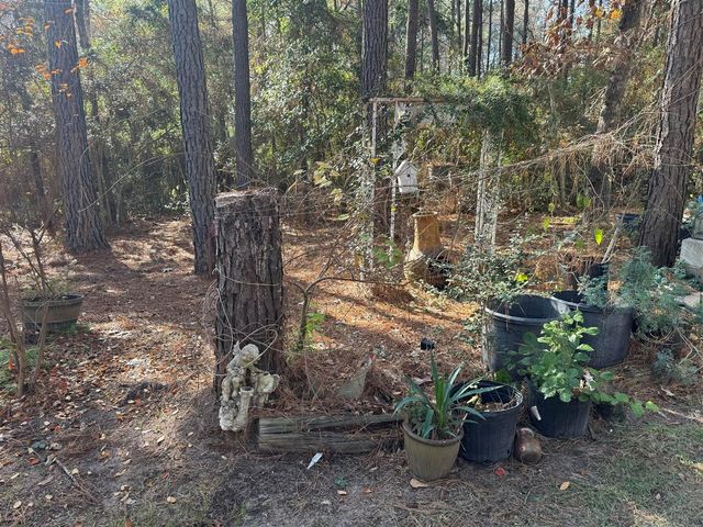 8249 Soapberry Lane, Plantersville, TX 77363