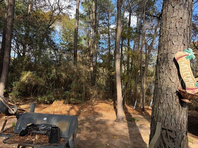 8249 Soapberry Lane, Plantersville, TX 77363