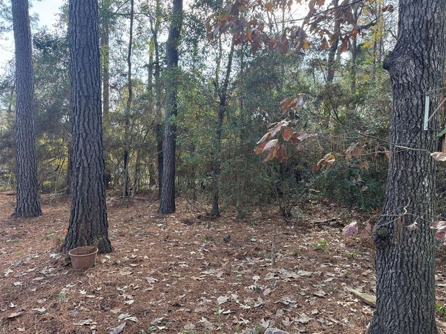 8249 Soapberry Lane, Plantersville, TX 77363