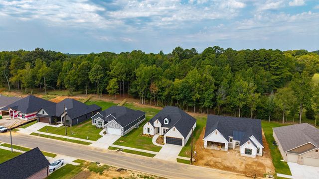 7081 Cold Creek Drive, Alexander, AR 72002