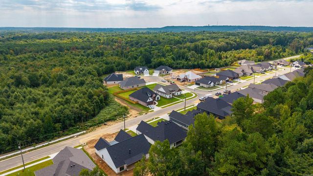 7081 Cold Creek Drive, Alexander, AR 72002