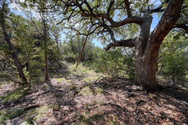 1001 Bluff View RD, Wimberley, TX 78676