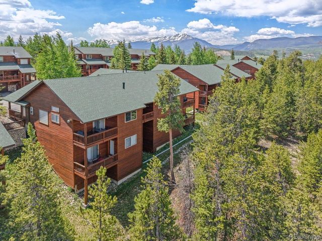 113 Lookout Ridge Dr, Dillon, CO 80435