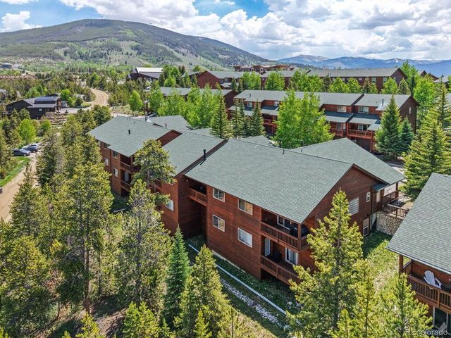 113 Lookout Ridge Dr, Dillon, CO 80435