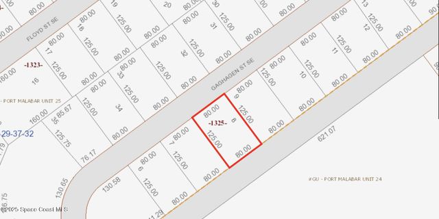 2841 Gaghagen Street SE, Palm Bay, FL 32909