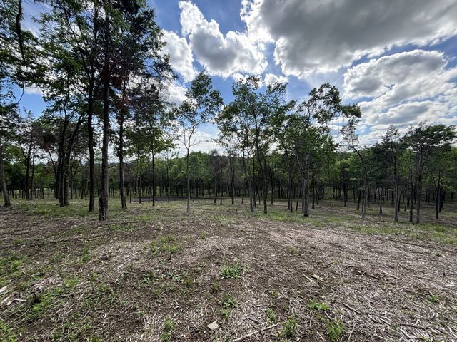 9205 Bowles Rd, Rockvale, TN 37153