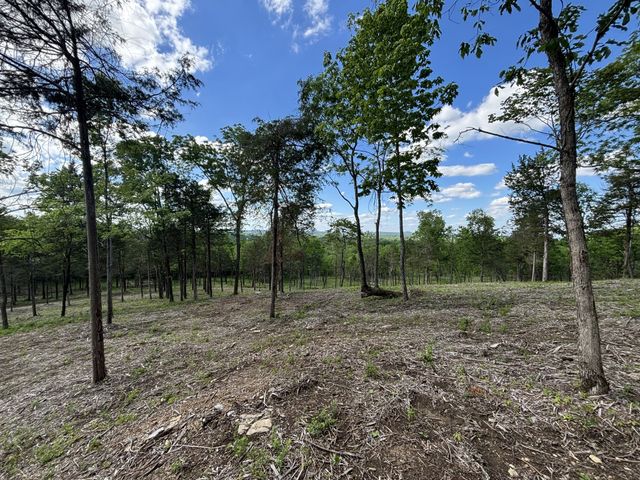 9205 Bowles Rd, Rockvale, TN 37153