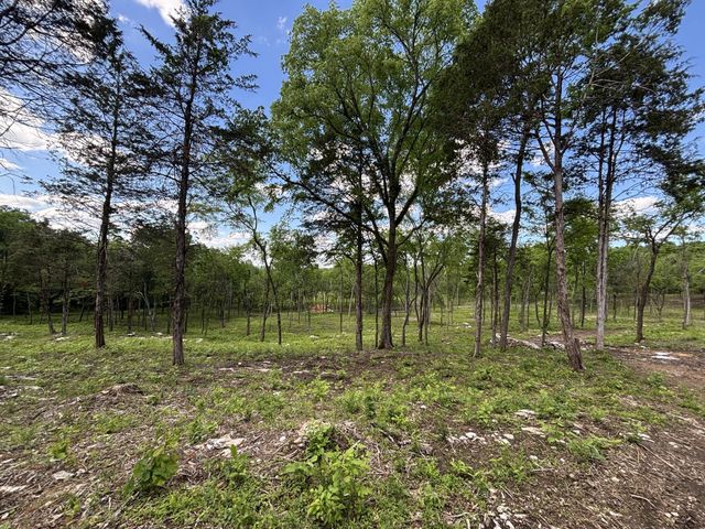 9205 Bowles Rd, Rockvale, TN 37153