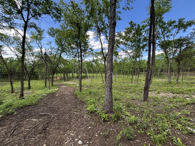 9205 Bowles Rd, Rockvale, TN 37153