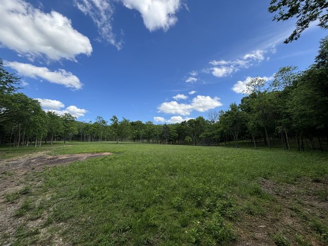 9205 Bowles Rd, Rockvale, TN 37153