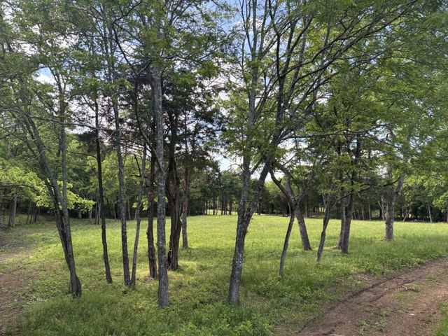 9205 Bowles Rd, Rockvale, TN 37153